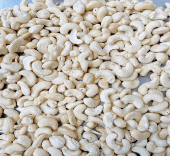W-320 Cashew