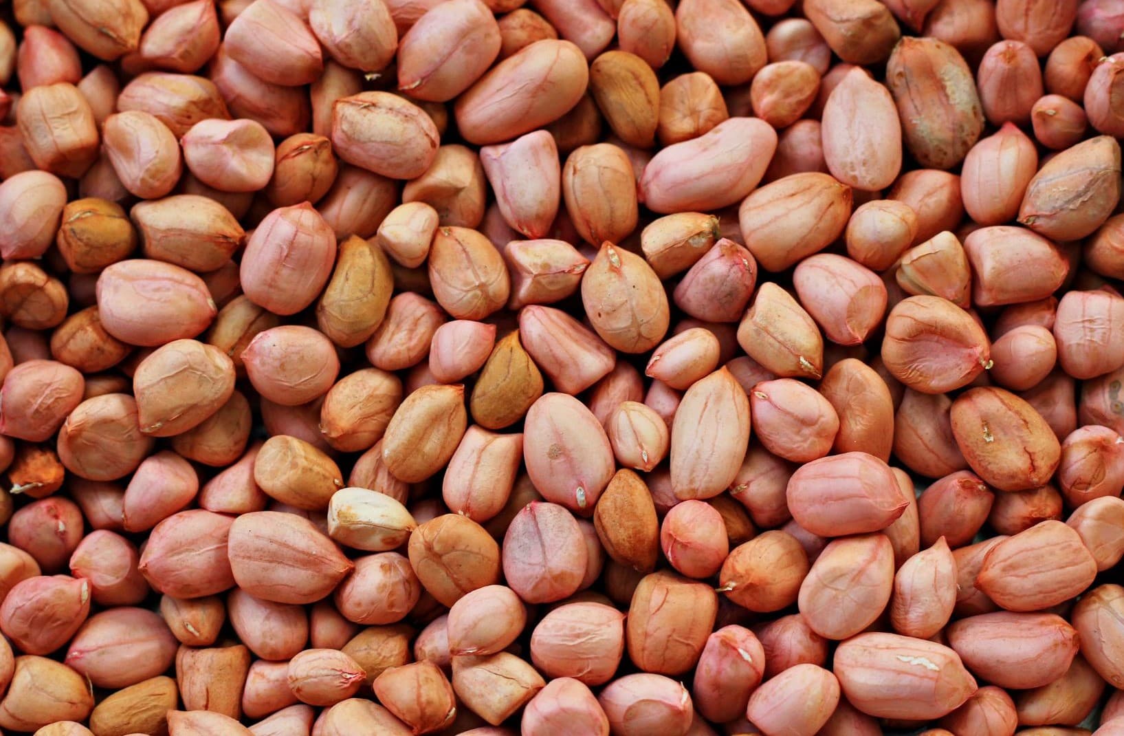 Groundnut Background