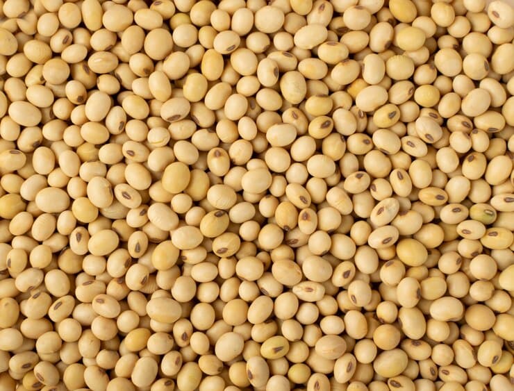 Soya Beans