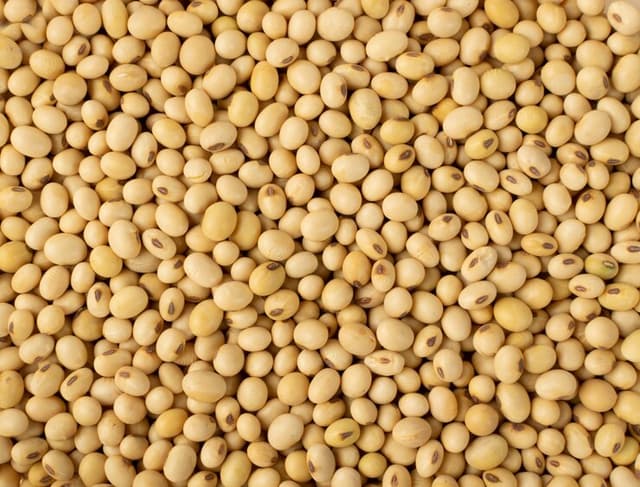 Soya Beans