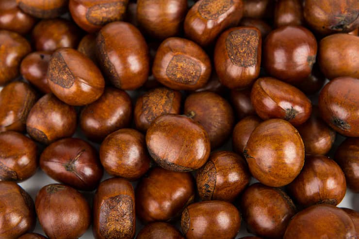 Shea Nuts