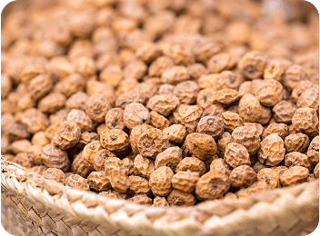 Tiger-Nuts
